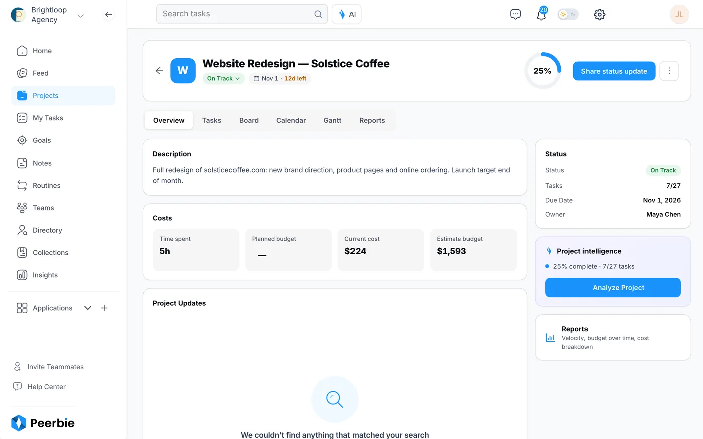 The Overview tab of a PeerBie project: description, time spent, current cost against the estimated budget, status, task count and Project intelligence