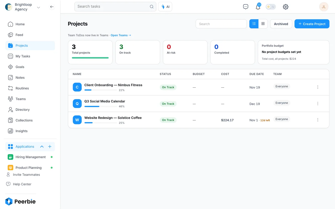 The Projects page in PeerBie: totals for on track, at risk and completed, a portfolio budget, and a list of projects with status, cost and due date
